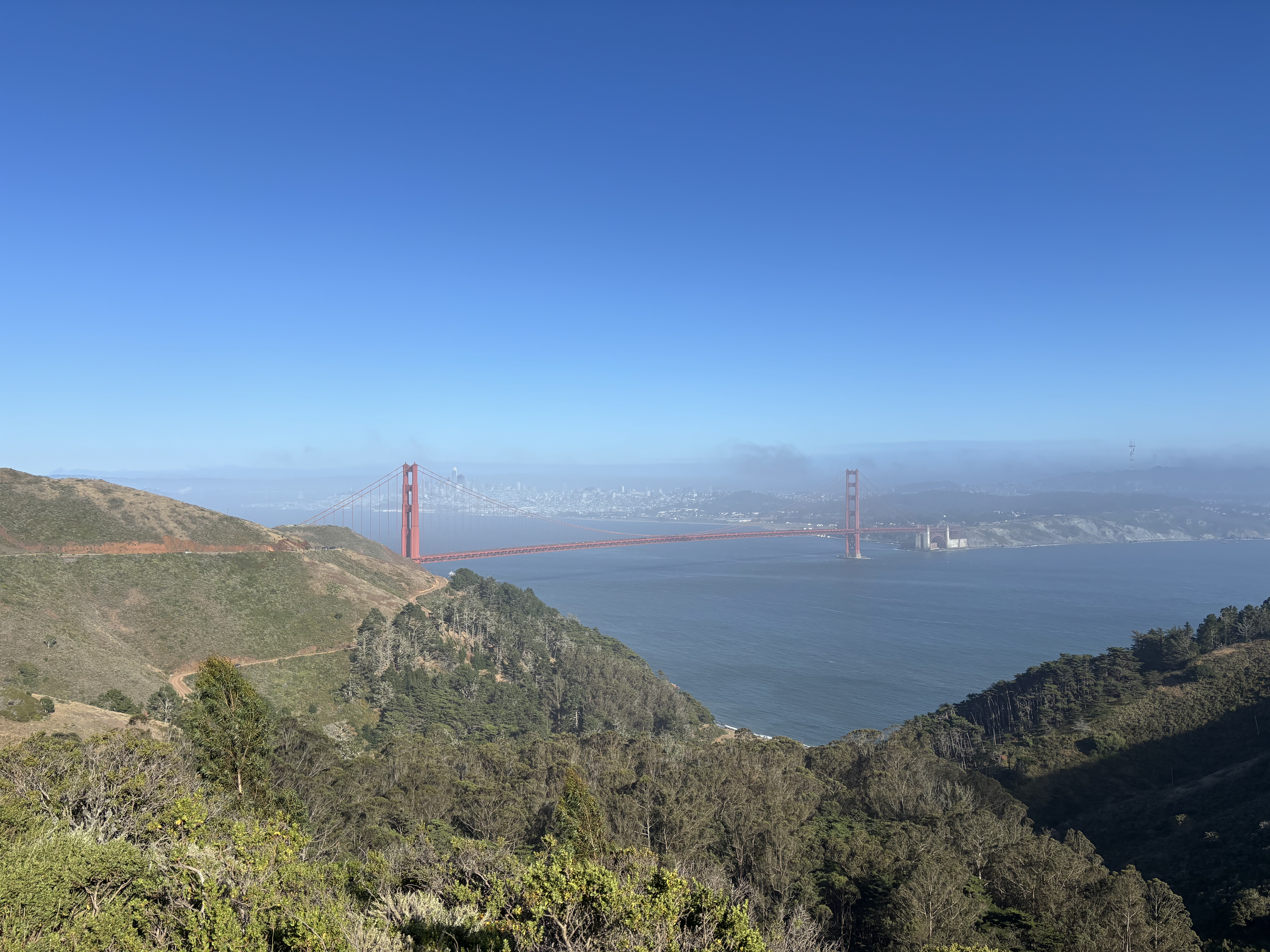 The Ascent to Hawk Hill